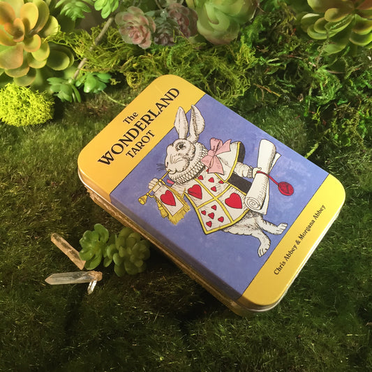 The Wonderland Tarot Tin