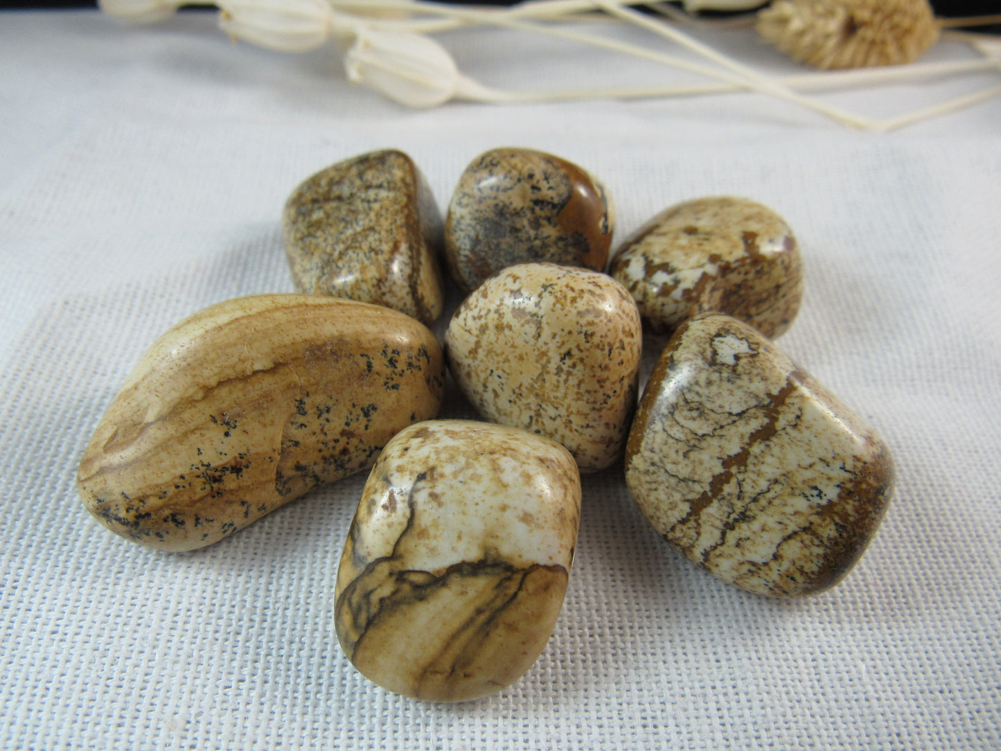 Picture Jasper