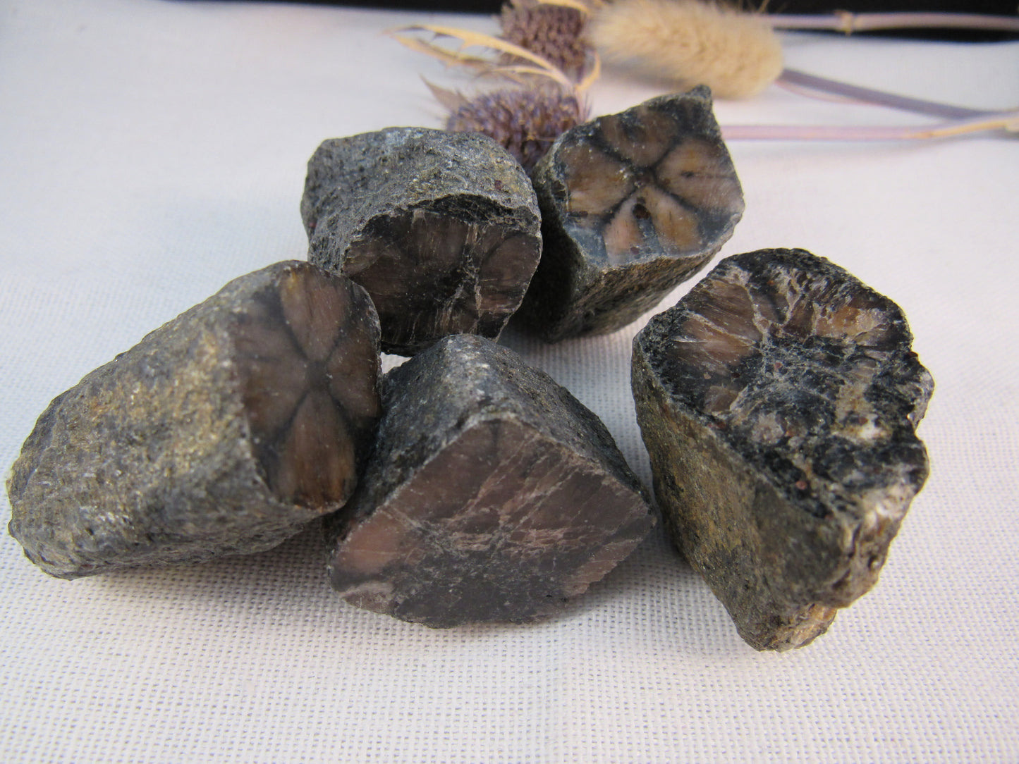 Chiastolite - Cross Stone Raw