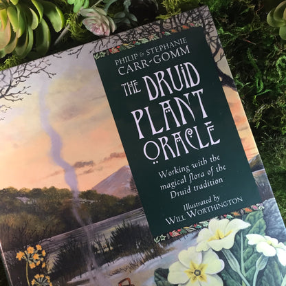 The Druid Plant Oracle