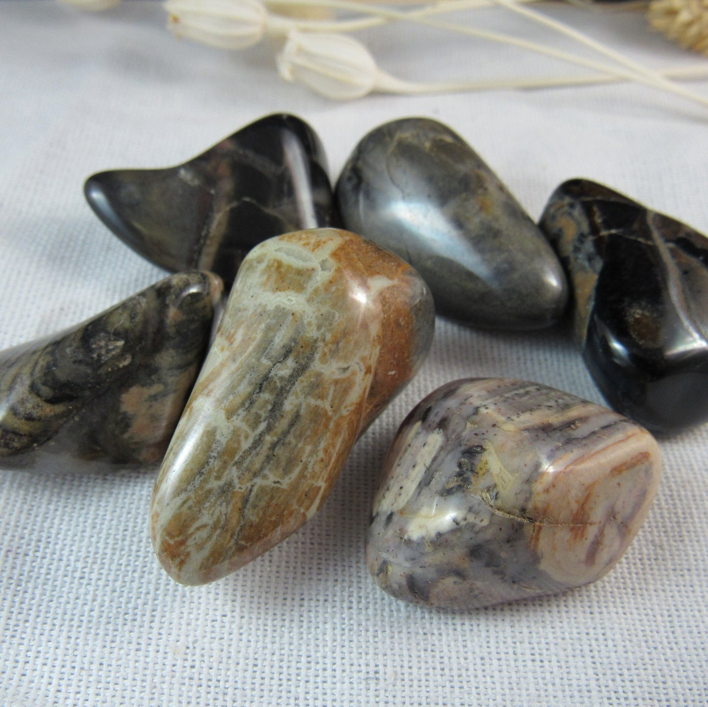 Silver Leaf Jasper