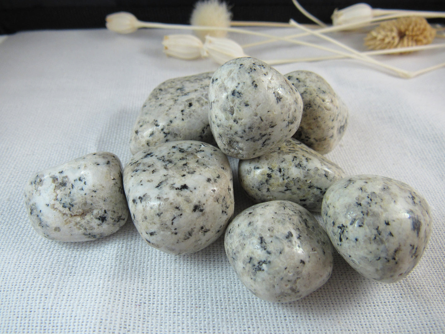 Dalmatian Jasper Small Spots