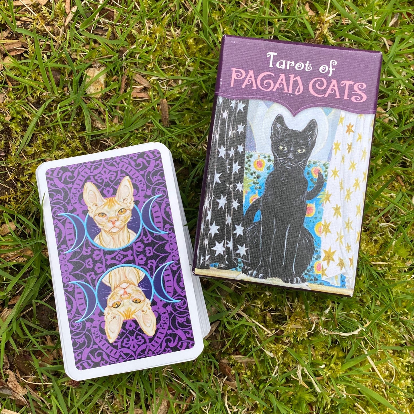 Tarot Of The Pagan Cats Mini