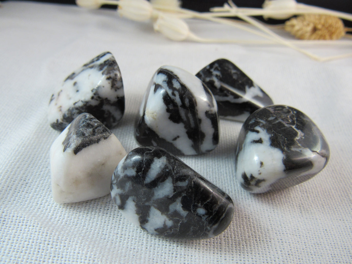 Zebra Agate