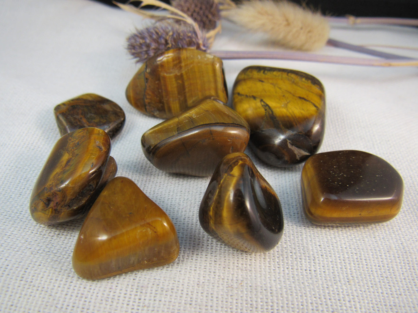 Tigers Eye Golden