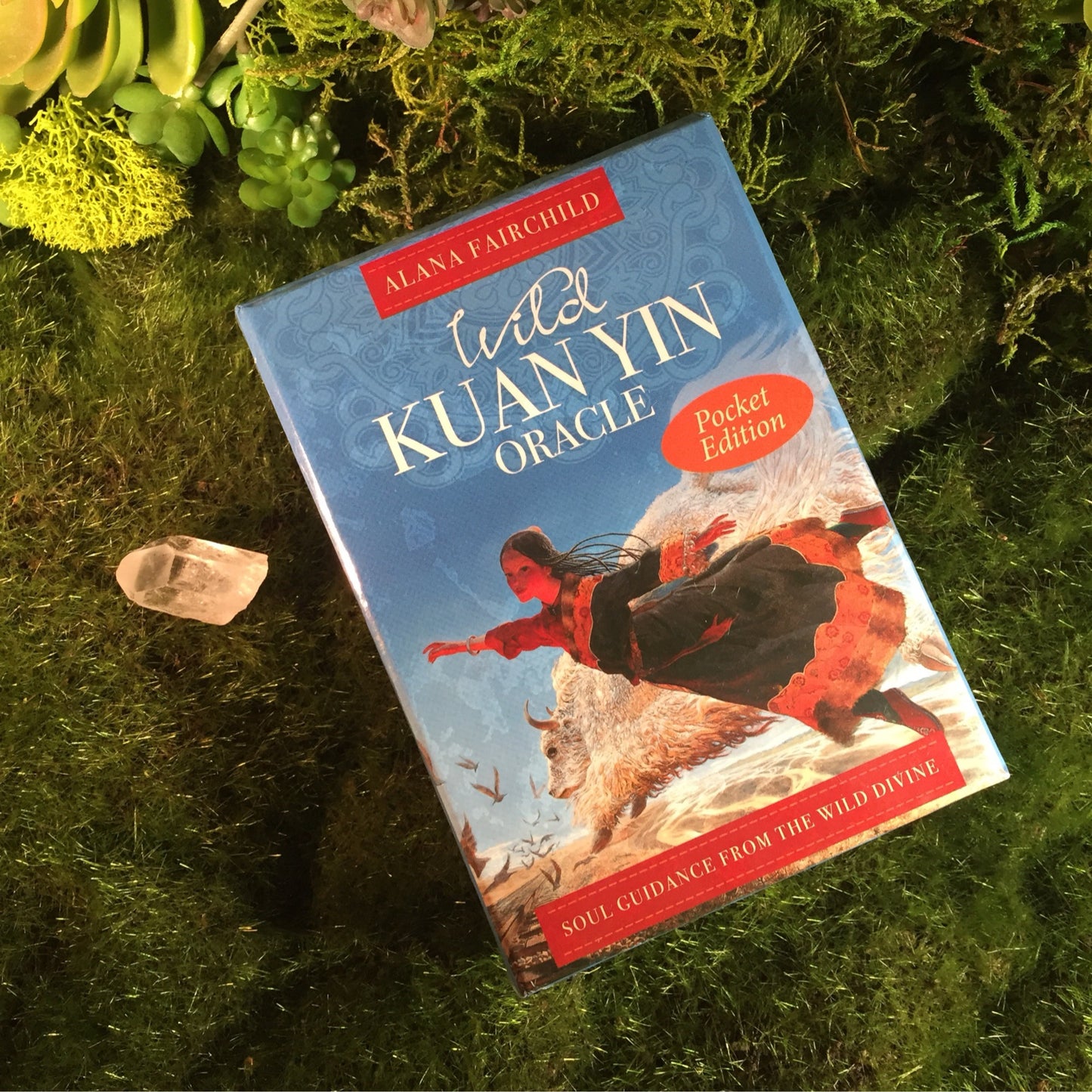 Wild Kuan Yin Pocket Edition